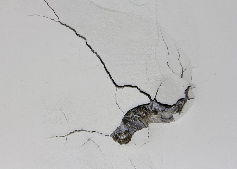 Plaster Crack Repair Solutions