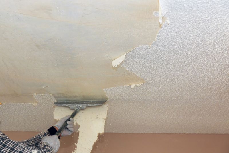 Stipple Ceiling Removal in Georgetown, TX
