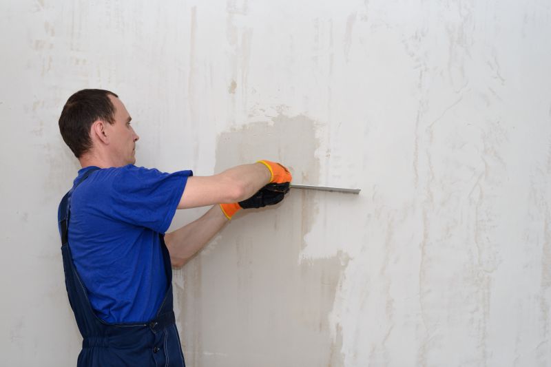 Wall Plastering Pro